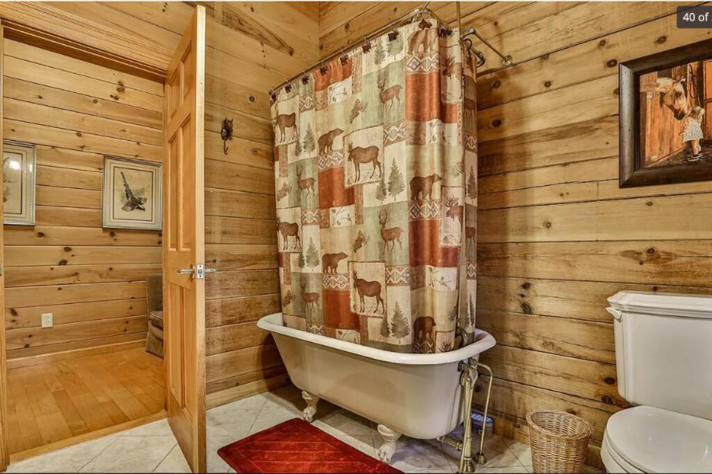 Blue Ridge Bliss- Spacious Cabin, Pets, Hot Tub! Ngoại thất bức ảnh